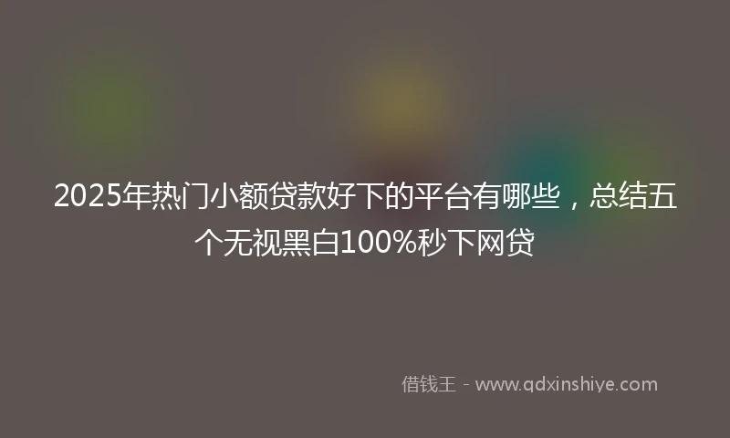 2025年热门小额贷款好下的平台有哪些，总结五个无视黑白100%秒下网贷
