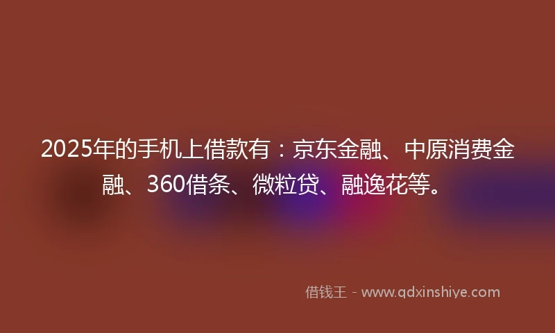 2025年的手机上借款有：京东金融、中原消费金融、360借条、微粒贷、融逸花等。