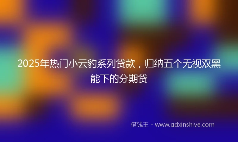 2025年热门小云豹系列贷款，归纳五个无视双黑能下的分期贷