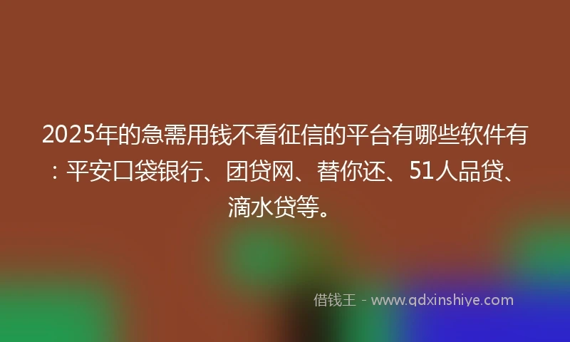 2025年的急需用钱不看征信的平台有哪些软件有：平安口袋银行、团贷网、替你还、51人品贷、滴水贷等。