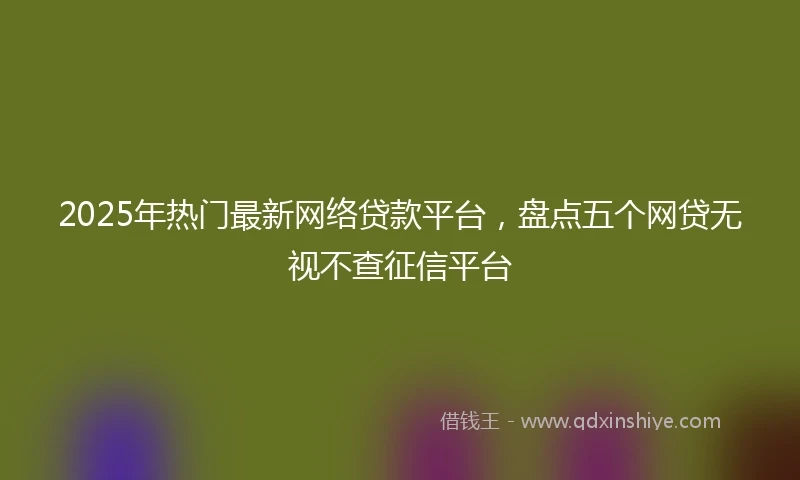 2025年热门最新网络贷款平台，盘点五个网贷无视不查征信平台