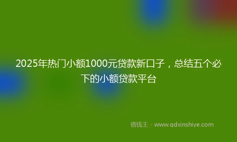 2025年热门小额1000元贷款新口子，总结五个必下的小额贷款平台