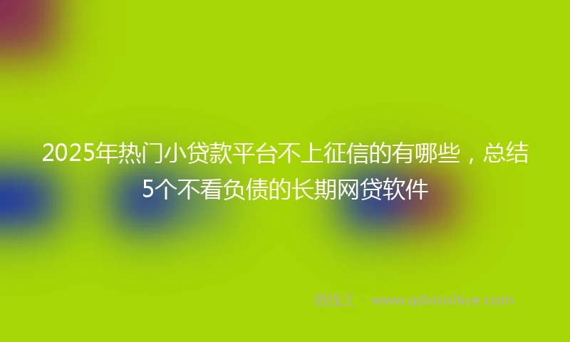 2025年热门小贷款平台不上征信的有哪些，总结5个不看负债的长期网贷软件