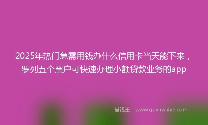 2025年热门急需用钱办什么信用卡当天能下来，罗列五个黑户可快速办理小额贷款业务的app