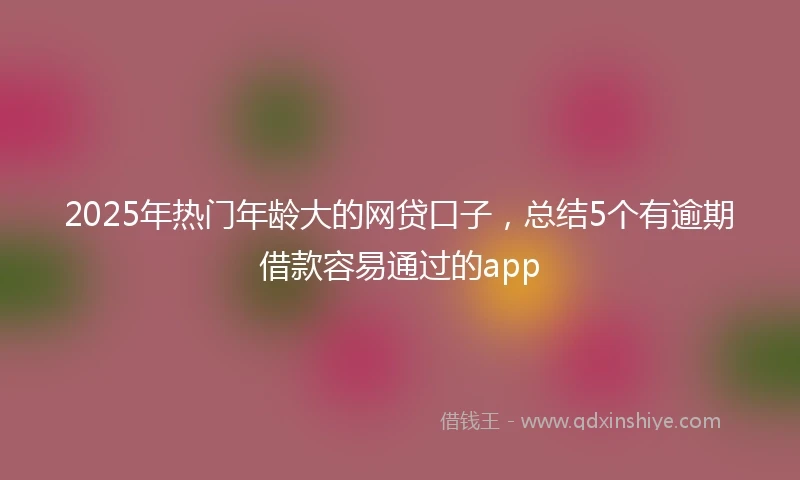 2025年热门年龄大的网贷口子，总结5个有逾期借款容易通过的app
