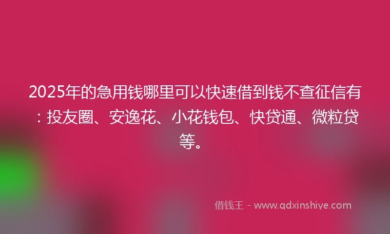 2025年的急用钱哪里可以快速借到钱不查征信有：投友圈、安逸花、小花钱包、快贷通、微粒贷等。