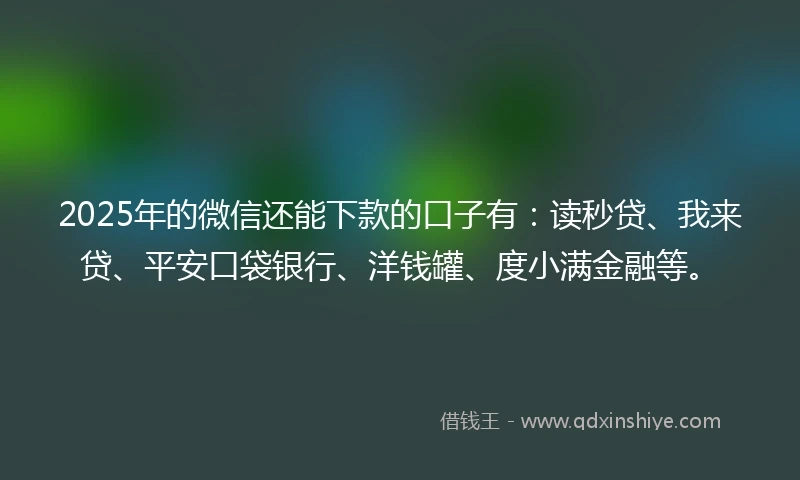 2025年的微信还能下款的口子有：读秒贷、我来贷、平安口袋银行、洋钱罐、度小满金融等。
