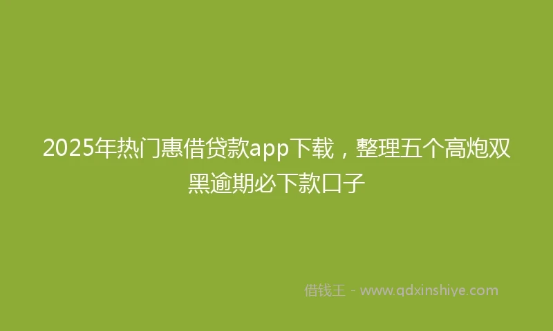 2025年热门惠借贷款app下载，整理五个高炮双黑逾期必下款口子