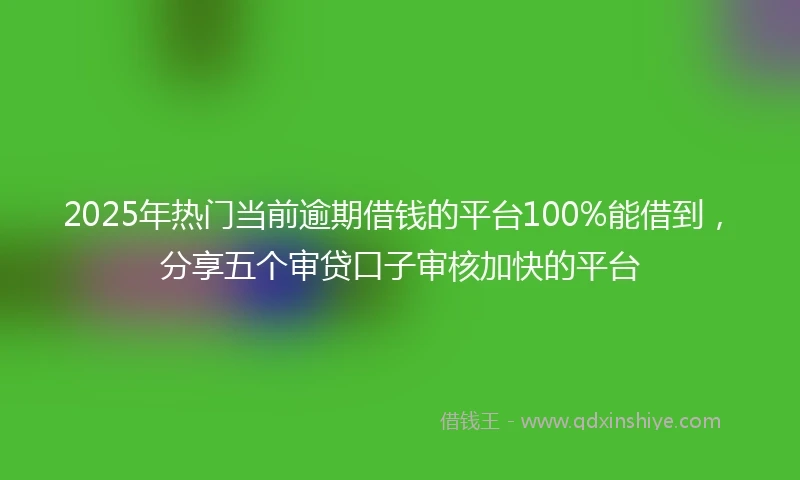 2025年热门当前逾期借钱的平台100%能借到，分享五个审贷口子审核加快的平台