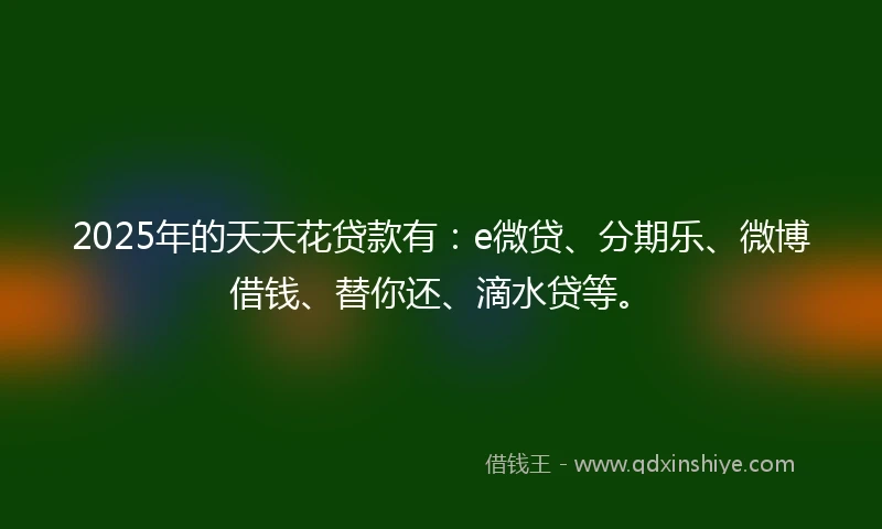 2025年的天天花贷款有：e微贷、分期乐、微博借钱、替你还、滴水贷等。