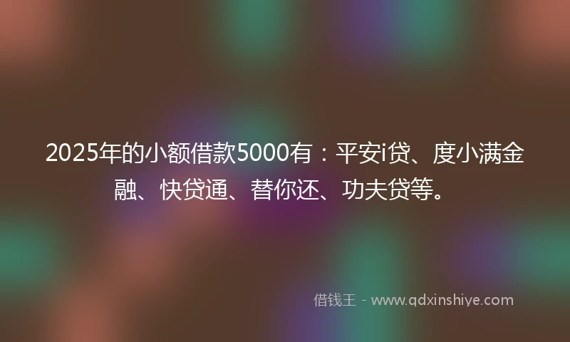 2025年的小额借款5000有：平安i贷、度小满金融、快贷通、替你还、功夫贷等。