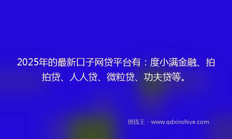2025年的最新口子网贷平台有：度小满金融、拍拍贷、人人贷、微粒贷、功夫贷等。