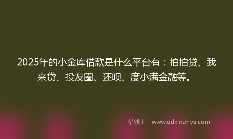 2025年的小金库借款是什么平台有：拍拍贷、我来贷、投友圈、还呗、度小满金融等。