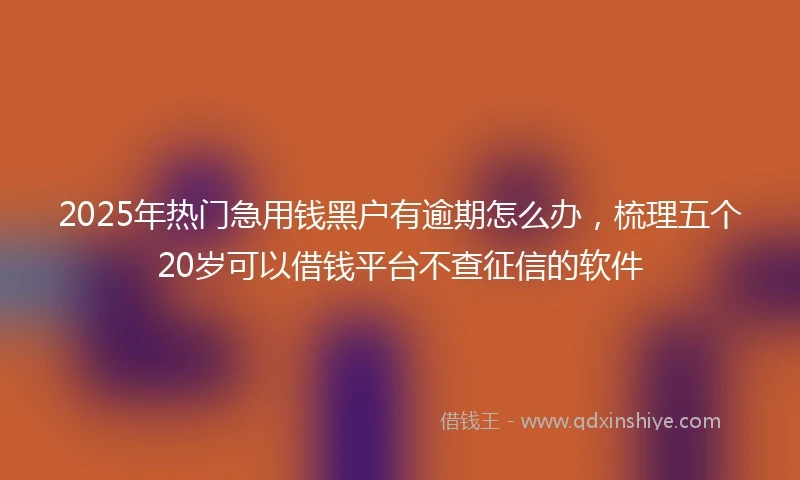 2025年热门急用钱黑户有逾期怎么办，梳理五个20岁可以借钱平台不查征信的软件