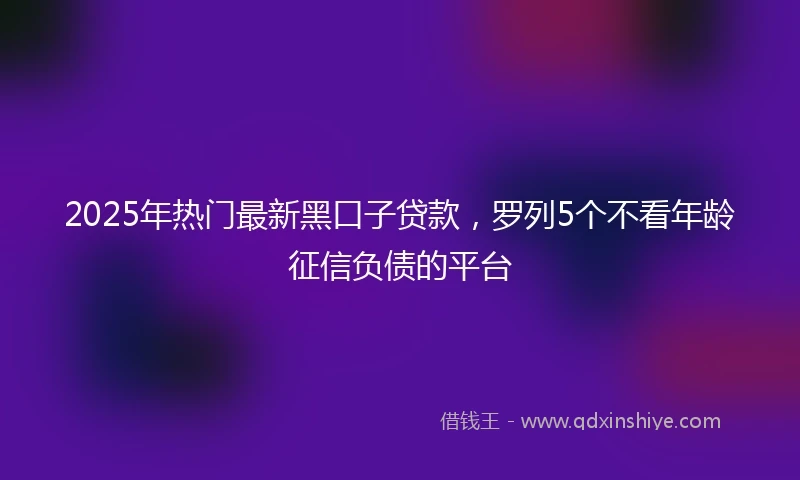 2025年热门最新黑口子贷款，罗列5个不看年龄征信负债的平台
