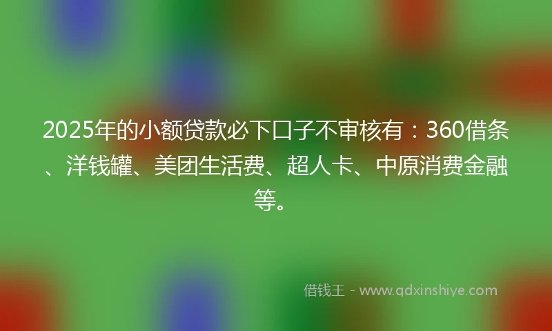 2025年的小额贷款必下口子不审核有：360借条、洋钱罐、美团生活费、超人卡、中原消费金融等。