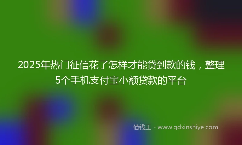 2025年热门征信花了怎样才能贷到款的钱，整理5个手机支付宝小额贷款的平台