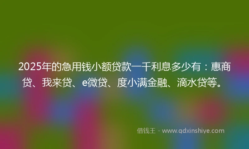 2025年的急用钱小额贷款一千利息多少有：惠商贷、我来贷、e微贷、度小满金融、滴水贷等。