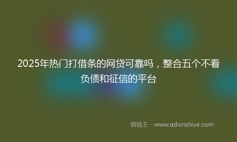 2025年热门打借条的网贷可靠吗，整合五个不看负债和征信的平台