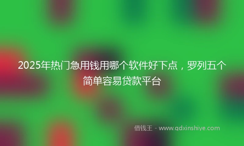 2025年热门急用钱用哪个软件好下点，罗列五个简单容易贷款平台