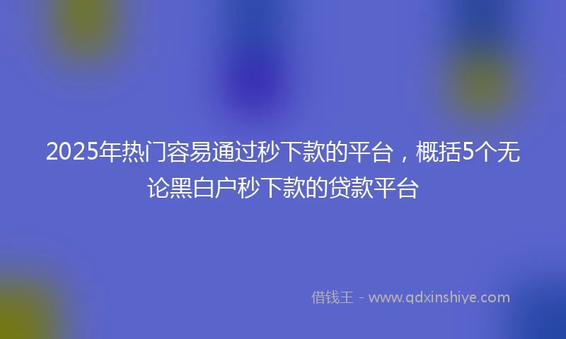 2025年热门容易通过秒下款的平台，概括5个无论黑白户秒下款的贷款平台
