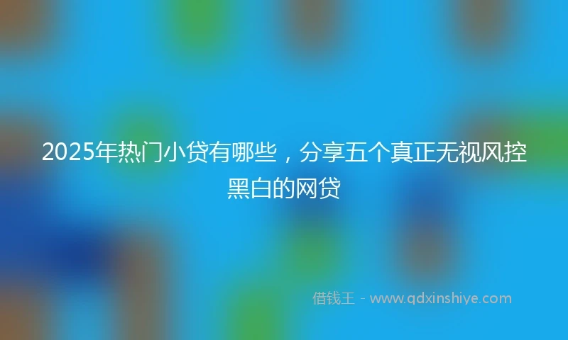 2025年热门小贷有哪些，分享五个真正无视风控黑白的网贷