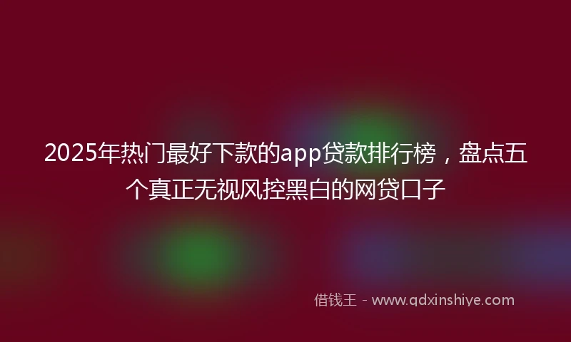 2025年热门最好下款的app贷款排行榜，盘点五个真正无视风控黑白的网贷口子