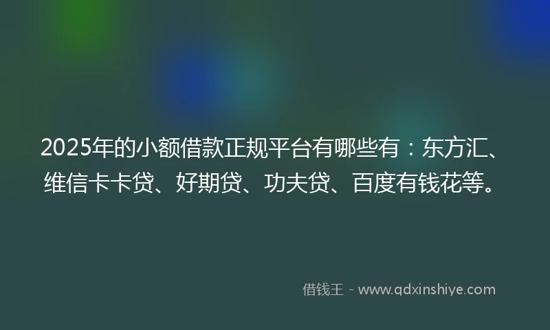 2025年的小额借款正规平台有哪些有：东方汇、维信卡卡贷、好期贷、功夫贷、百度有钱花等。