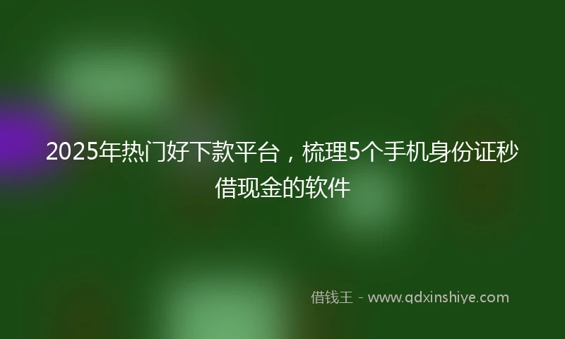 2025年热门好下款平台，梳理5个手机身份证秒借现金的软件