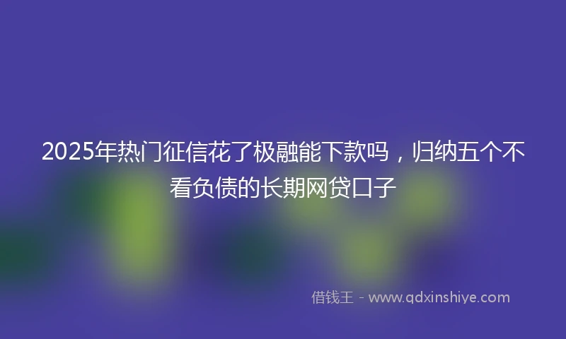 2025年热门征信花了极融能下款吗，归纳五个不看负债的长期网贷口子