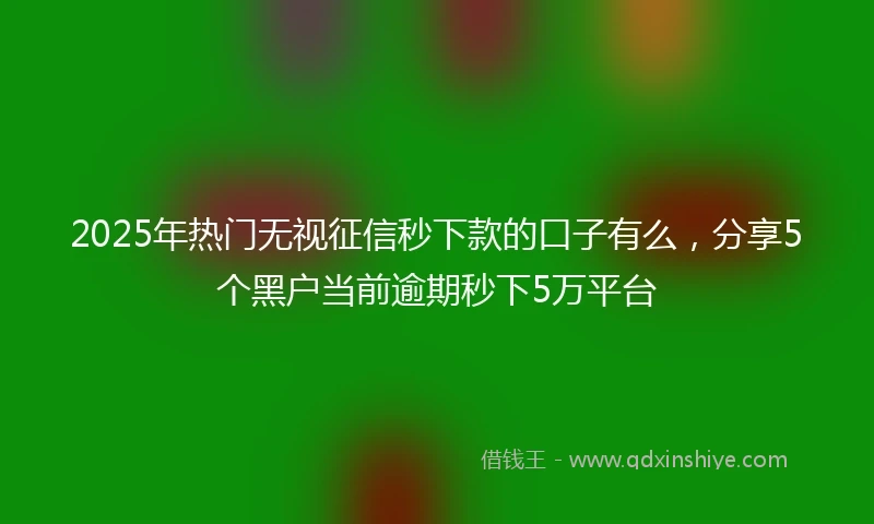 2025年热门无视征信秒下款的口子有么，分享5个黑户当前逾期秒下5万平台
