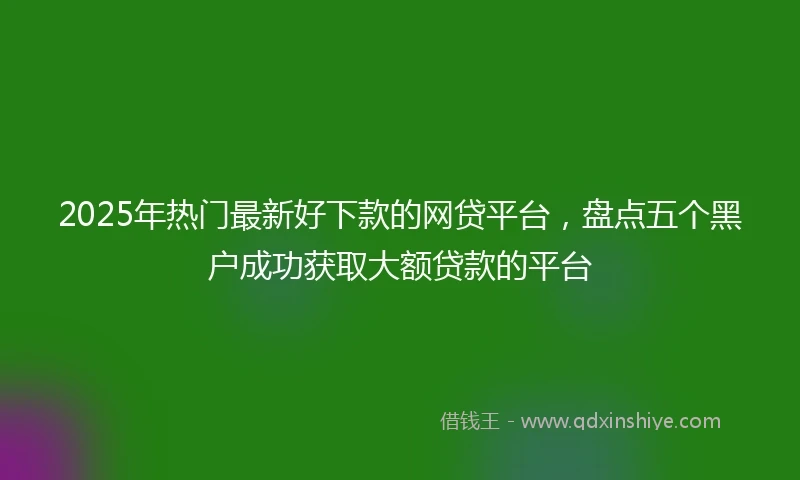 2025年热门最新好下款的网贷平台，盘点五个黑户成功获取大额贷款的平台