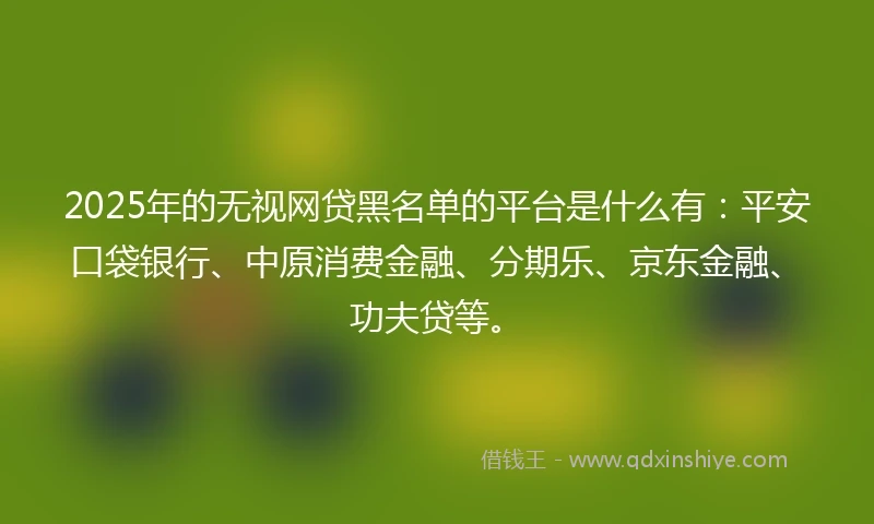 2025年的无视网贷黑名单的平台是什么有：平安口袋银行、中原消费金融、分期乐、京东金融、功夫贷等。