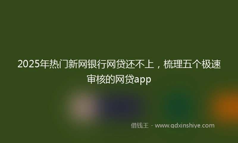 2025年热门新网银行网贷还不上，梳理五个极速审核的网贷app