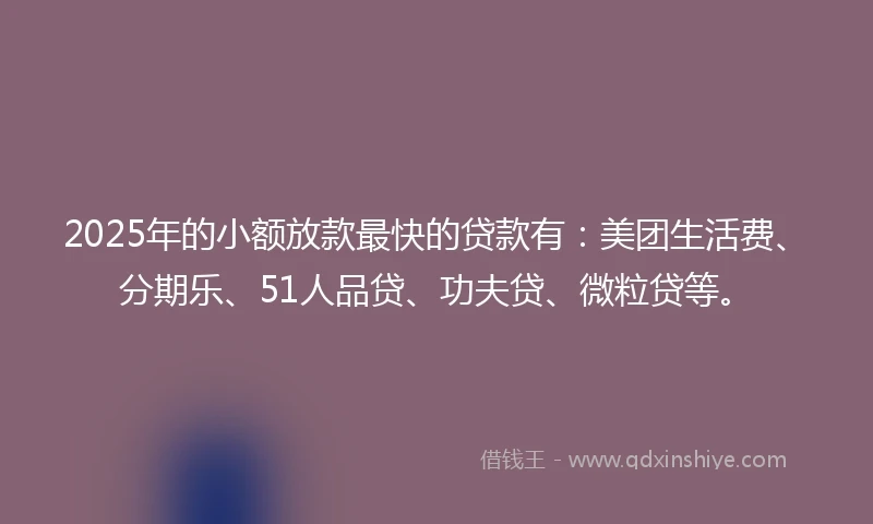 2025年的小额放款最快的贷款有：美团生活费、分期乐、51人品贷、功夫贷、微粒贷等。