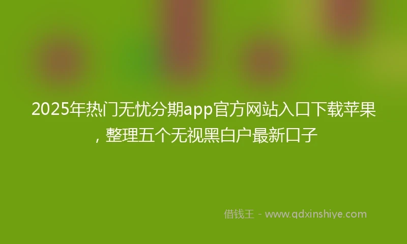 2025年热门无忧分期app官方网站入口下载苹果，整理五个无视黑白户最新口子