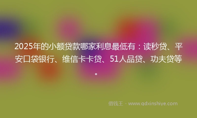 2025年的小额贷款哪家利息最低有：读秒贷、平安口袋银行、维信卡卡贷、51人品贷、功夫贷等。