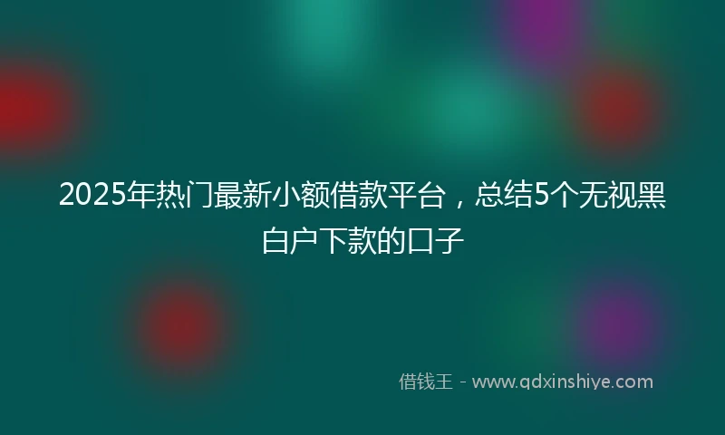 2025年热门最新小额借款平台，总结5个无视黑白户下款的口子