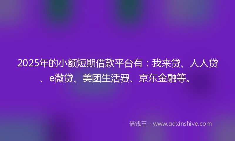 2025年的小额短期借款平台有：我来贷、人人贷、e微贷、美团生活费、京东金融等。