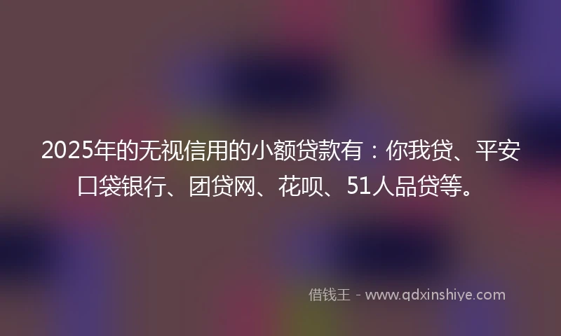 2025年的无视信用的小额贷款有：你我贷、平安口袋银行、团贷网、花呗、51人品贷等。