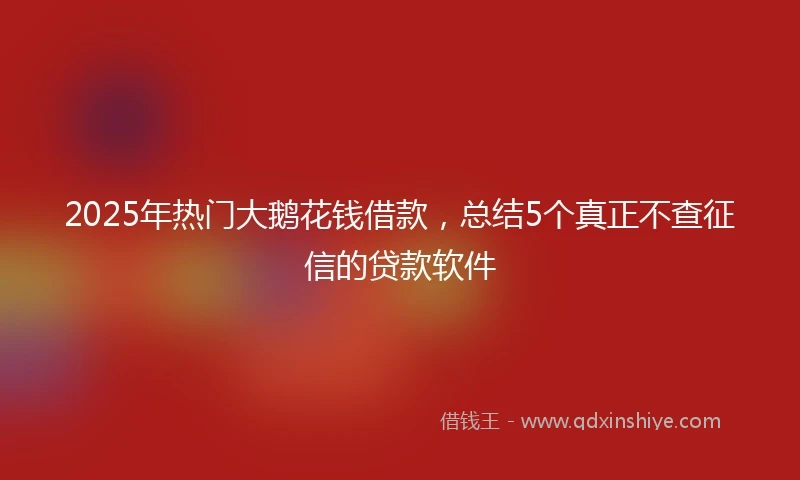 2025年热门大鹅花钱借款，总结5个真正不查征信的贷款软件