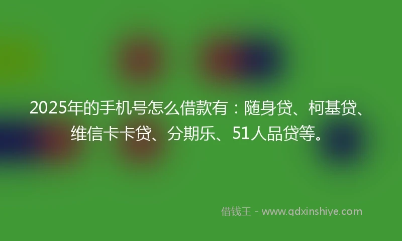 2025年的手机号怎么借款有：随身贷、柯基贷、维信卡卡贷、分期乐、51人品贷等。
