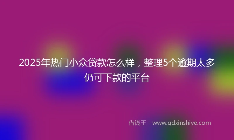 2025年热门小众贷款怎么样，整理5个逾期太多仍可下款的平台