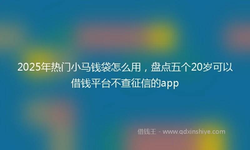 2025年热门小马钱袋怎么用，盘点五个20岁可以借钱平台不查征信的app