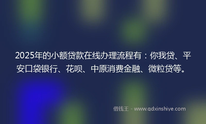 2025年的小额贷款在线办理流程有：你我贷、平安口袋银行、花呗、中原消费金融、微粒贷等。