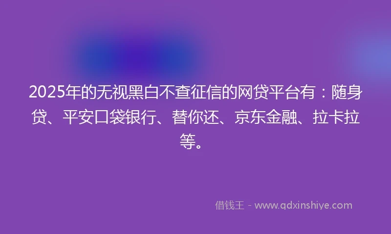 2025年的无视黑白不查征信的网贷平台有：随身贷、平安口袋银行、替你还、京东金融、拉卡拉等。