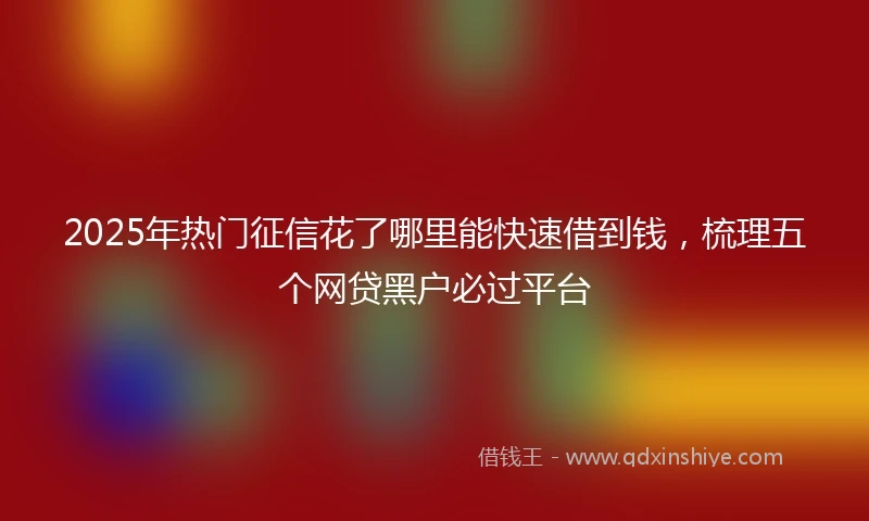 2025年热门征信花了哪里能快速借到钱，梳理五个网贷黑户必过平台