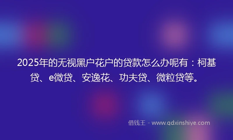 2025年的无视黑户花户的贷款怎么办呢有：柯基贷、e微贷、安逸花、功夫贷、微粒贷等。