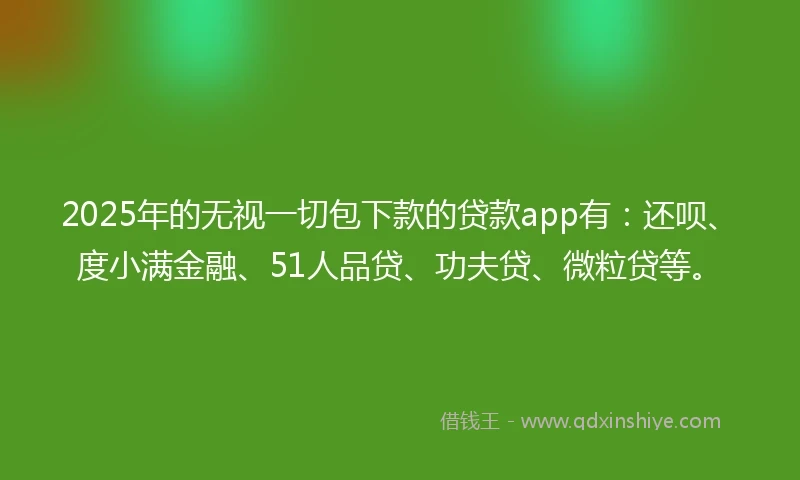 2025年的无视一切包下款的贷款app有：还呗、度小满金融、51人品贷、功夫贷、微粒贷等。
