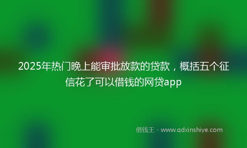 2025年热门晚上能审批放款的贷款，概括五个征信花了可以借钱的网贷app